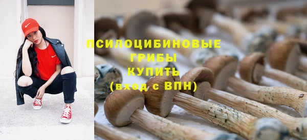 хмурый Михайлов