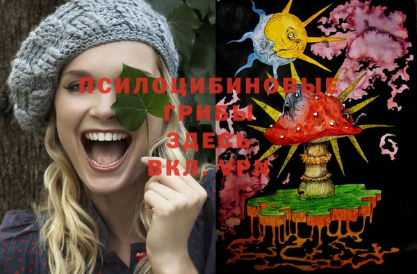 хмурый Михайлов